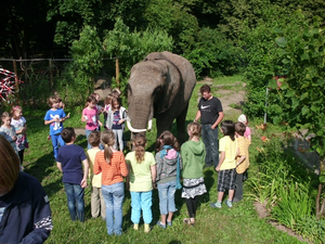 GS_Elefant3a_270912 Montessori-Schulzentrum Leipzig - Neuigkeiten Grundschule 2012 - Hoher Besuch in der Schule