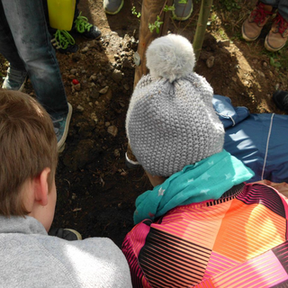 baumpflanzung_6 Montessori-Schulzentrum Leipzig - Neuigkeiten Grundschule 2014 - Ein neuer Baum für den Schulhof