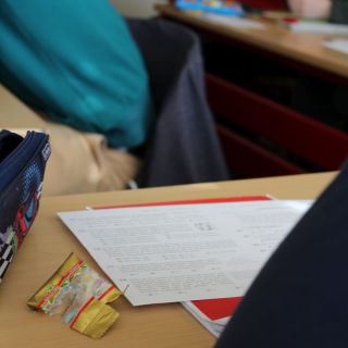 knguru2017_09 Montessori-Schulzentrum Leipzig - Neuigkeiten - Die Kängurus