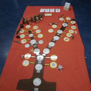 prowo2014_14 Montessori-Schulzentrum Leipzig - Neuigkeiten Grundschule 2014 - Neue Mission für die 200 Fragezeichen