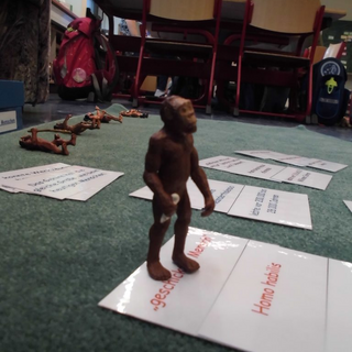 prowo2014_16 Montessori-Schulzentrum Leipzig - Neuigkeiten Grundschule 2014 - Neue Mission für die 200 Fragezeichen