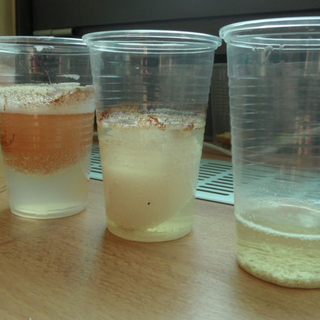 prowo2014_reg07 Montessori-Schulzentrum Leipzig - Neuigkeiten Grundschule 2014 - Neue Mission für die 200 Fragezeichen