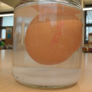 prowo2014_reg14 Montessori-Schulzentrum Leipzig - Neuigkeiten Grundschule 2014 - Neue Mission für die 200 Fragezeichen