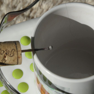 prowo2014_reg24 Montessori-Schulzentrum Leipzig - Neuigkeiten Grundschule 2014 - Neue Mission für die 200 Fragezeichen