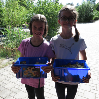 talentefest2017_23 Montessori-Schulzentrum Leipzig - Neuigkeiten Grundschule - Von Zombies und anderen Talenten