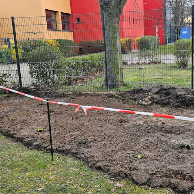 s_fld49_streifen Montessori-Schulzentrum Leipzig - Neuigkeiten - Der Frühling kann kommen