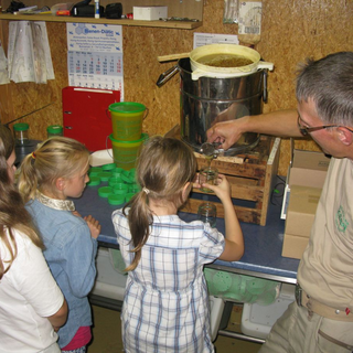 af_tiger_4 Montessori-Schulzentrum Leipzig - Neuigkeiten Grundschule 2014 - Wir sind dann (bald) mal weg