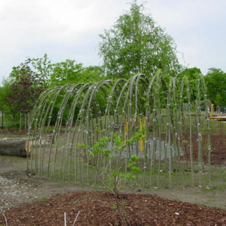 eswareinmal11 Montessori-Schulzentrum Leipzig - Neuigkeiten Grundschule 2013 - "Ja so war'ns...