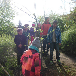 baumpflanzung_5 Montessori-Schulzentrum Leipzig - Neuigkeiten Grundschule 2014 - Ein neuer Baum für den Schulhof