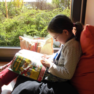 biboneu_05 Montessori-Schulzentrum Leipzig - Neuigkeiten Grundschule - "Fensterln" leicht gemacht