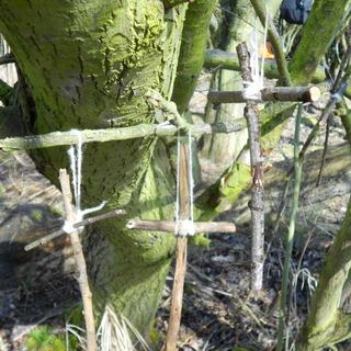 12-unser-kleiner-waldschrein Montessori-Schulzentrum Leipzig - Neuigkeiten Grundschule - Delfine im Wald