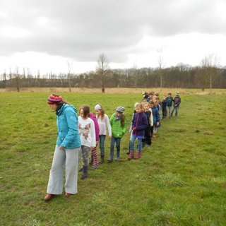 13-der-kreuzschritt Montessori-Schulzentrum Leipzig - Neuigkeiten Grundschule - Delfine im Wald