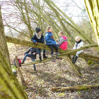 3-ein-lauschiges-pltzchen Montessori-Schulzentrum Leipzig - Neuigkeiten Grundschule - Delfine im Wald
