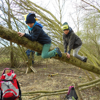 4-perspektivwechsel Montessori-Schulzentrum Leipzig - Neuigkeiten Grundschule - Delfine im Wald