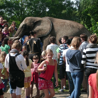 gs_elefant_4 Montessori-Schulzentrum Leipzig - Neuigkeiten Grundschule 2012 - Hoher Besuch in der Schule