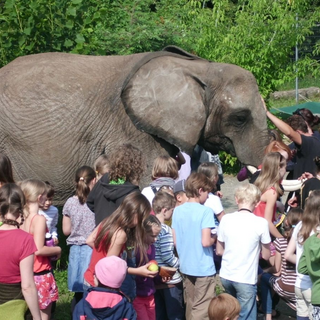 gs_elefant_5 Montessori-Schulzentrum Leipzig - Neuigkeiten Grundschule 2012 - Hoher Besuch in der Schule