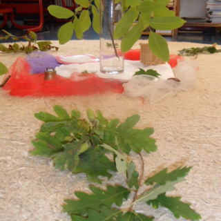 herbstreg_01 Montessori-Schulzentrum Leipzig - Neuigkeiten Grundschule - Der Herbst ist da!