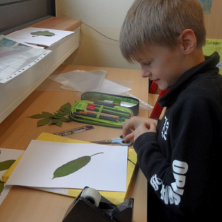 herbstreg_04 Montessori-Schulzentrum Leipzig - Neuigkeiten Grundschule - Der Herbst ist da!