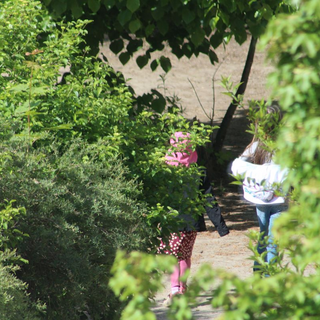 tncorona_06 Montessori-Schulzentrum Leipzig - Neuigkeiten Grundschule - 65 Tage Geisterschule sind nun vorbei
