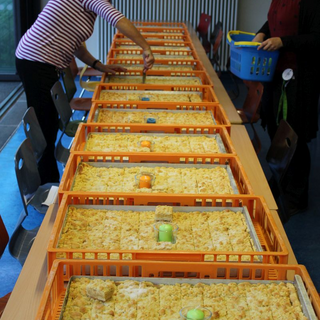 fewo_erff_01 Montessori-Schulzentrum Leipzig - Neuigkeiten Grundschule - Alles muss klein beginnen...