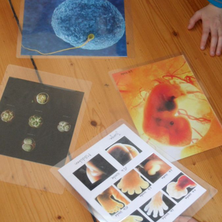 hebamme_08 Montessori-Schulzentrum Leipzig - Neuigkeiten Grundschule - Heilige He-bim-bamme!