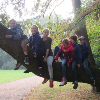 abhngen-nach-der-arbeit Montessori-Schulzentrum Leipzig - Neuigkeiten Grundschule - Unterwegs im "Hoppel-Poppel"-Wäldchen