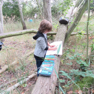 ich-zeichne-meinen-baum Montessori-Schulzentrum Leipzig - Neuigkeiten Grundschule - Unterwegs im "Hoppel-Poppel"-Wäldchen