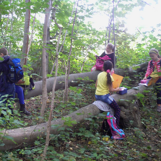 tigerhp_01 Montessori-Schulzentrum Leipzig - Neuigkeiten Grundschule - Unterwegs im "Hoppel-Poppel"-Wäldchen