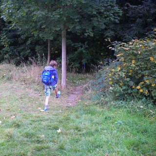 tigerhp_04 Montessori-Schulzentrum Leipzig - Neuigkeiten Grundschule - Unterwegs im "Hoppel-Poppel"-Wäldchen