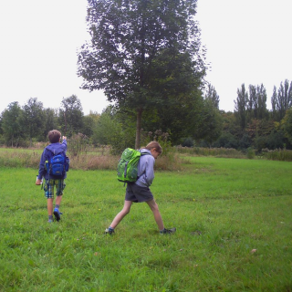 tigerhp_05 Montessori-Schulzentrum Leipzig - Neuigkeiten Grundschule - Unterwegs im "Hoppel-Poppel"-Wäldchen