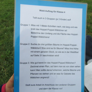 waldauftrge Montessori-Schulzentrum Leipzig - Neuigkeiten Grundschule - Unterwegs im "Hoppel-Poppel"-Wäldchen
