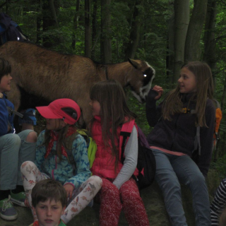 kf2015_del5 Montessori-Schulzentrum Leipzig - Neuigkeiten Grundschule - In 4 Tagen um die Welt