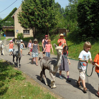 kf_reg2014_2 Montessori-Schulzentrum Leipzig - Neuigkeiten Grundschule 2014 - Klassenerfahrung
