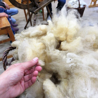 klassenfahrt2017reg_02 Montessori-Schulzentrum Leipzig - Neuigkeiten Grundschule - Erzähl mal, wie war's auf Klassenfahrt?