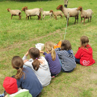klassenfahrt2017reg_09 Montessori-Schulzentrum Leipzig - Neuigkeiten Grundschule - Erzähl mal, wie war's auf Klassenfahrt?