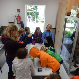 klassenfahrt2017tig_04 Montessori-Schulzentrum Leipzig - Neuigkeiten Grundschule - Erzähl mal, wie war's auf Klassenfahrt?