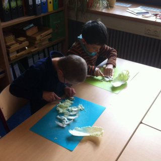 ktzchenkochen_06 Montessori-Schulzentrum Leipzig - Neuigkeiten Grundschule - Kätzchen kochen?