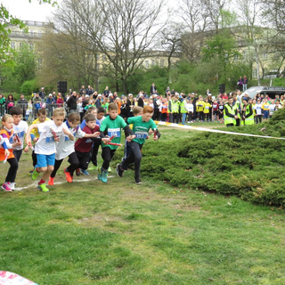 minimara_09 Montessori-Schulzentrum Leipzig - Neuigkeiten Grundschule - Mini-Marathon 2017