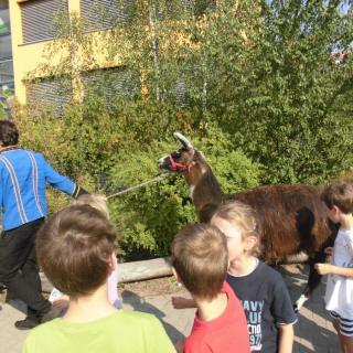 pausenzirkus_04 Montessori-Schulzentrum Leipzig - Neuigkeiten Grundschule - Pausenzirkus
