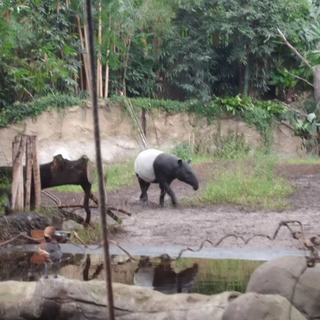 prowo6 Montessori-Schulzentrum Leipzig - Neuigkeiten Grundschule 2013 - Auf zu neuen Ufern!