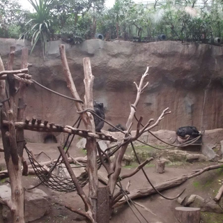 prowo7 Montessori-Schulzentrum Leipzig - Neuigkeiten Grundschule 2013 - Auf zu neuen Ufern!