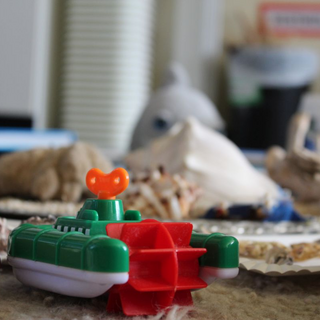 projektwoche2017_10 Montessori-Schulzentrum Leipzig - Neuigkeiten Grundschule - Be a pro!