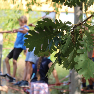 regelkunde_04 Montessori-Schulzentrum Leipzig - Neuigkeiten Grundschule - Lass uns das mal Regeln
