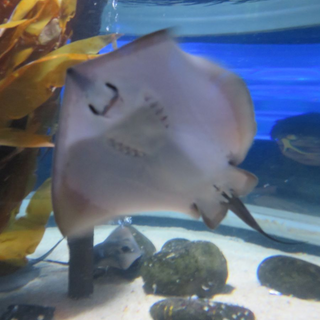 proworegber_04 Montessori-Schulzentrum Leipzig - Neuigkeiten Grundschule - Regenbögen über und in Berlin