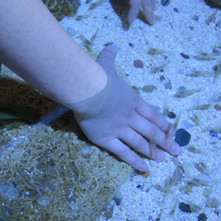 proworegber_05 Montessori-Schulzentrum Leipzig - Neuigkeiten Grundschule - Regenbögen über und in Berlin