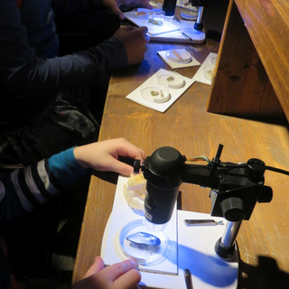 proworegber_06 Montessori-Schulzentrum Leipzig - Neuigkeiten Grundschule - Regenbögen über und in Berlin