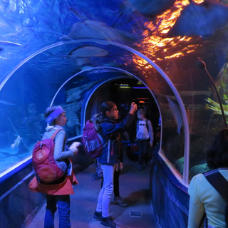 proworegber_08 Montessori-Schulzentrum Leipzig - Neuigkeiten Grundschule - Regenbögen über und in Berlin