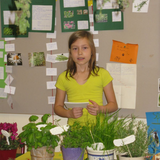 prowotiger_04 Montessori-Schulzentrum Leipzig - Neuigkeiten Grundschule 2014 - Über allem(n) steht der Regenbogen