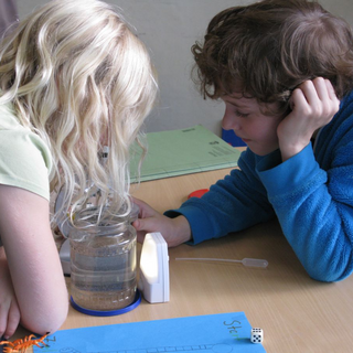 prowotiger_07 Montessori-Schulzentrum Leipzig - Neuigkeiten Grundschule 2014 - Über allem(n) steht der Regenbogen