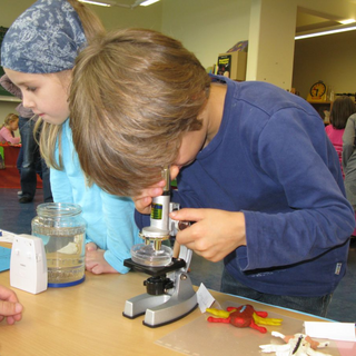 prowotiger_10 Montessori-Schulzentrum Leipzig - Neuigkeiten Grundschule 2014 - Über allem(n) steht der Regenbogen